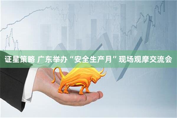 证星策略 广东举办“安全生产月”现场观摩交流会