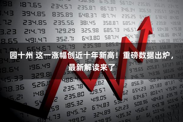 园十州 这一涨幅创近十年新高！重磅数据出炉，最新解读来了