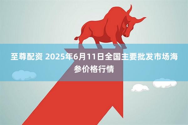 至尊配资 2025年6月11日全国主要批发市场海参价格行情