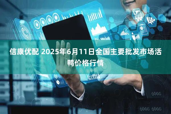 信康优配 2025年6月11日全国主要批发市场活鸭价格行情