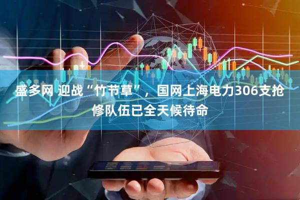 盛多网 迎战“竹节草”，国网上海电力306支抢修队伍已全天候待命