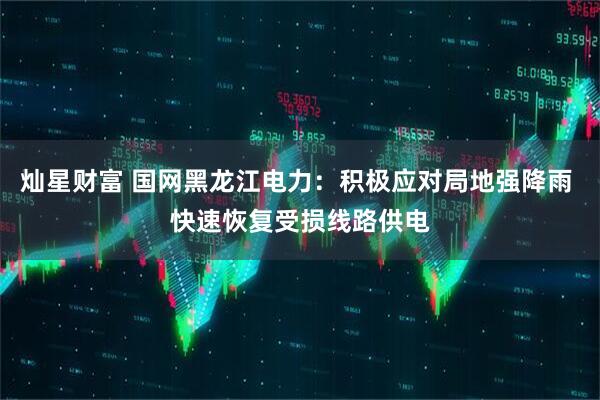 灿星财富 国网黑龙江电力：积极应对局地强降雨 快速恢复受损线路供电