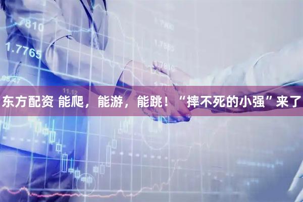 东方配资 能爬，能游，能跳！“摔不死的小强”来了