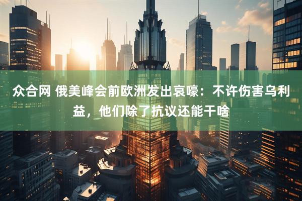 众合网 俄美峰会前欧洲发出哀嚎：不许伤害乌利益，他们除了抗议还能干啥