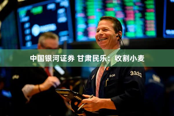 中国银河证券 甘肃民乐：收割小麦