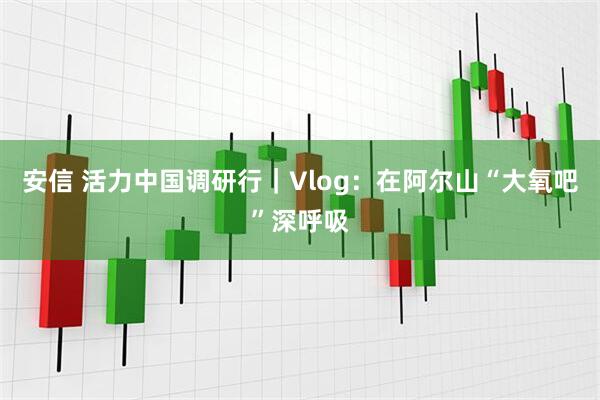 安信 活力中国调研行｜Vlog：在阿尔山“大氧吧”深呼吸
