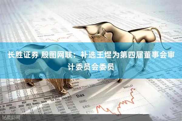 长胜证券 殷图网联：补选王煜为第四届董事会审计委员会委员