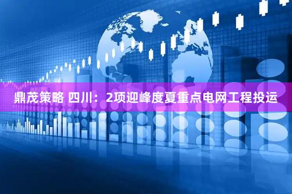 鼎茂策略 四川：2项迎峰度夏重点电网工程投运