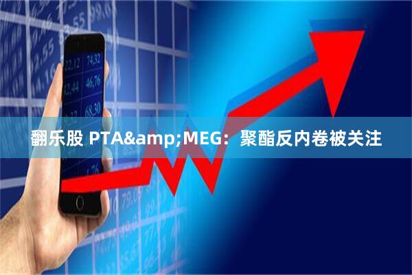 翻乐股 PTA&MEG:聚酯反内卷被关注